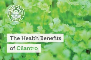 cilantro-health-benefits-blog-300x200