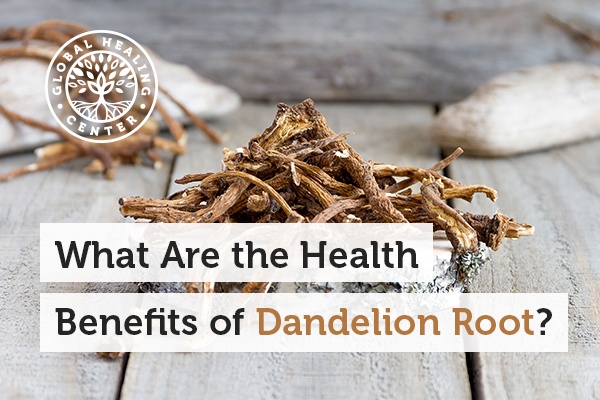 dandelion-root-blog