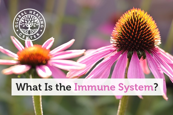 immune-system-blog