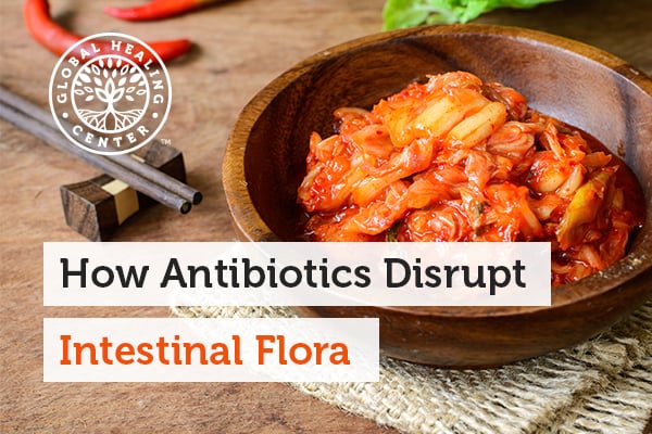 intestinal-flora