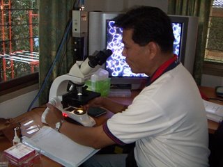 live_blood_analysis_malaysia_02