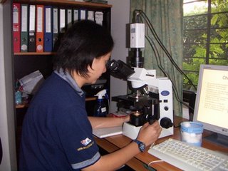 live_blood_analysis_malaysia_03