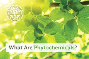 phytochemicals-blog-300x200