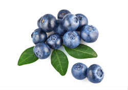 shutterstock_bilberries