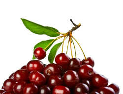 shutterstock_cherries