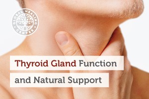 thyroid-gland-functions-symptoms-diet-and-natural-support-blog-300x200
