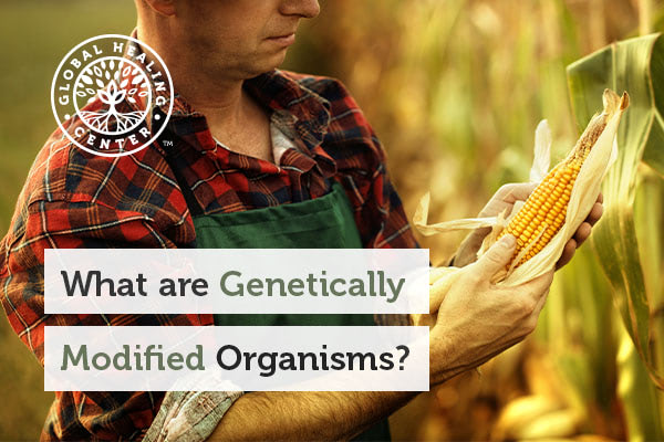 what-are-gmos