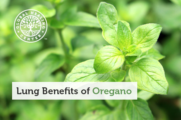 benefits-of-oregano