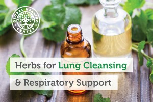 best-herbs-for-lung-cleansing-respiratory-support-300x200