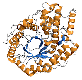 betaamylase