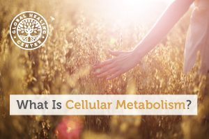 cellular-metabolism-blog-300x200