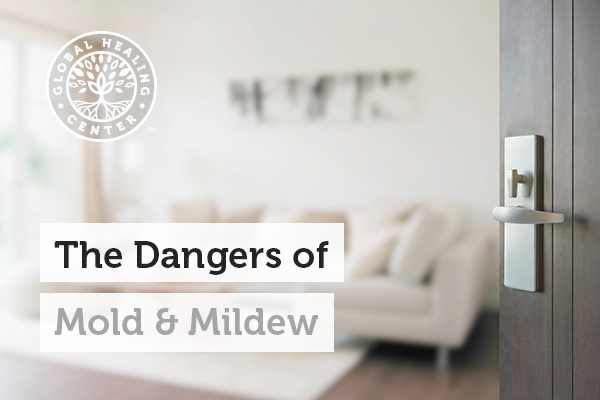 dangers-of-mold