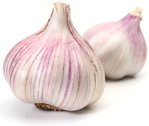 garlic