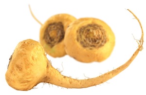 maca-root-small