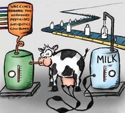 milk_cartoon