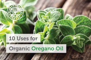 organic-oregano-oil-300x200