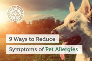 pet-allergies-blog-300x200