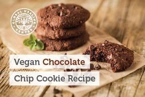 vegan-chocolate-chip-cookie-recipe-blog-300x200