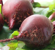 beets
