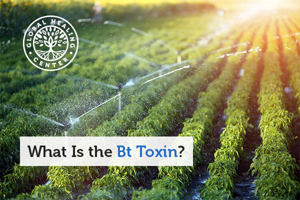 bt-toxin