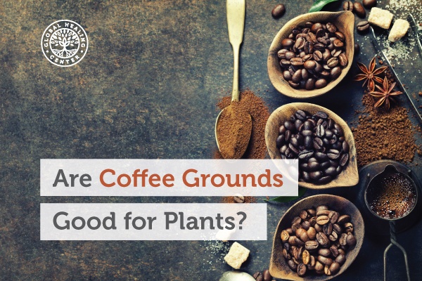 coffee-grounds-blog