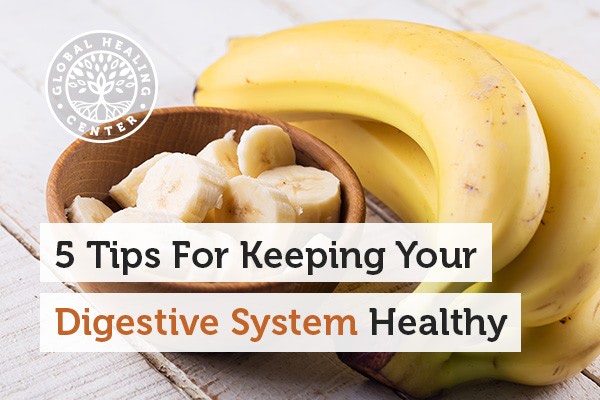 digestive-system-blog