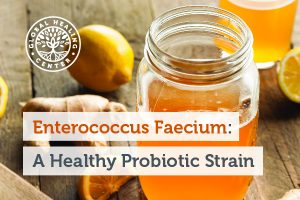 enterococcus-faecium-blog-300x200