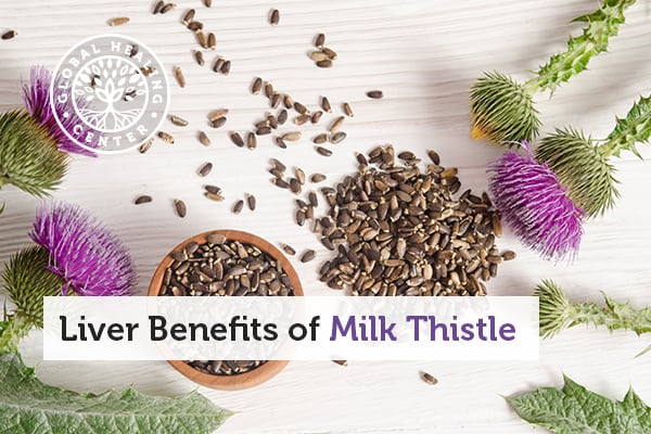 liver-benefits-of-milk-thistle-liver-health