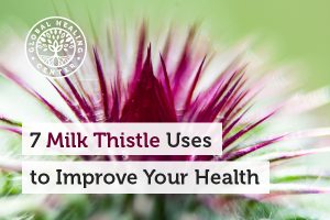 milk-thistle-blog-300x200