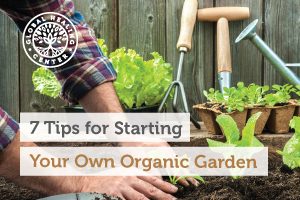 organic-garden-blog-300x200