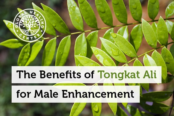 tongkat-ali-male-enhancement.jpg