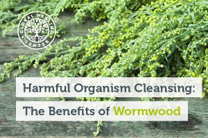 wormwood-blog-300x200