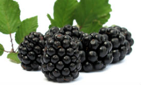 black-rasberries