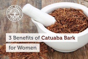 Catuaba-bark-blog-300x200