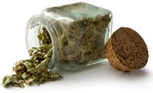 dried_herbs