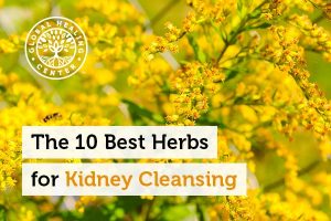herbs-for-kidney-cleansing-300x200