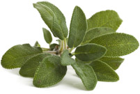 sage