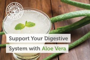 supportyourdigestiveblog