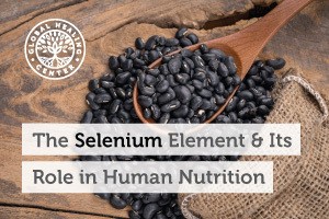 the-selenium-element-and-its-role-in-hman-nutrition-Blog-300x200