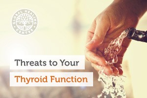 Thyroid-function-blog