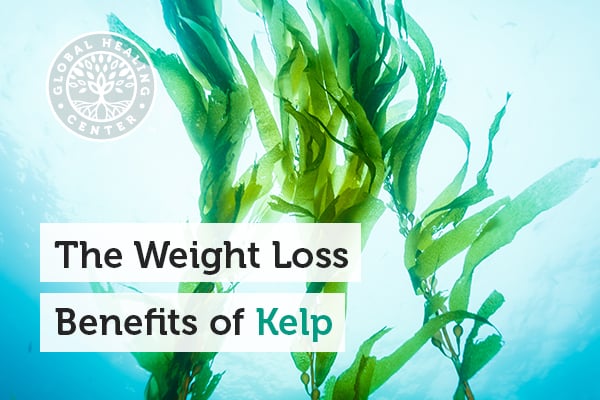 benefits-of-kelp