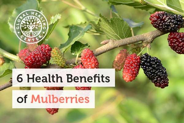 benefits-of-mulberries