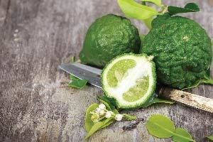 essential-oils-blog3-300x200