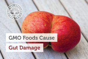 gmo-foods-blog-300x200