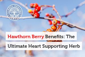 hawthorn-berry-benefits-blog-300x200