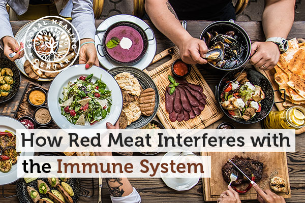 immune-system