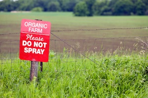 organic-farm-no-pesticides