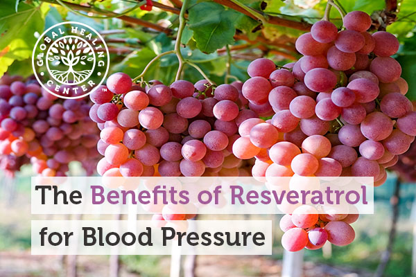 resveratrol benefits