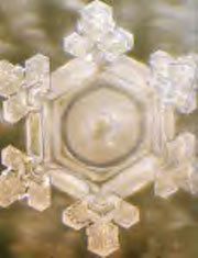 structured-water-exposed-positive-language-thank-you