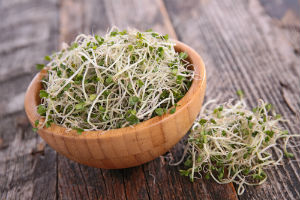 broccoli-sprouts